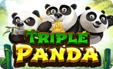 God55 Triple Panda
